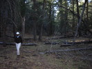 photo thumbnail #3