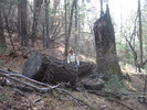 photo thumbnail #6
