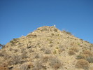 photo thumbnail #3