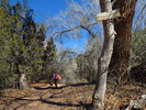 photo thumbnail #3