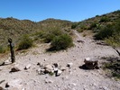 photo thumbnail #7