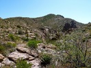 photo thumbnail #8