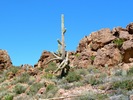 photo thumbnail #9