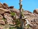 photo thumbnail #10