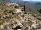 photo thumbnail #12