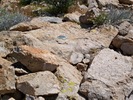 photo thumbnail #13