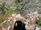 2012-03-29 :1: Coffee Flat Mountain :: FLYING_FLIVER
