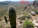 2012-03-29 :1: Coffee Flat Mountain :: FLYING_FLIVER