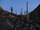 photo thumbnail #1