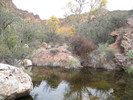 photo thumbnail #8