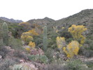 photo thumbnail #9