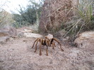 photo thumbnail #11