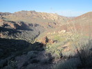 photo thumbnail #2