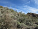 photo thumbnail #6