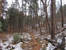 photo thumbnail #2