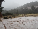 photo thumbnail #10