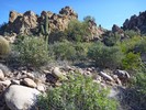 photo thumbnail #6