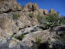 photo thumbnail #9
