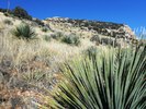 2012-12-17 :2: Table Mountain - Catalinas :: sirena
