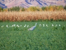 photo thumbnail #14