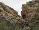 photo thumbnail #4