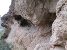 photo thumbnail #11