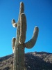photo thumbnail #15