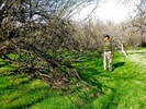 photo thumbnail #5