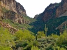 photo thumbnail #12