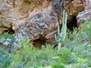 photo thumbnail #15