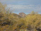photo thumbnail #1