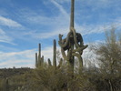 photo thumbnail #2