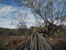 photo thumbnail #3