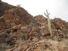 photo thumbnail #6