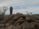 photo thumbnail #7