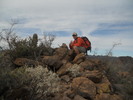 photo of comment