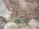 photo thumbnail #11