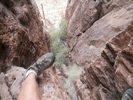 photo thumbnail #12