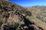 photo thumbnail #9