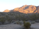 photo thumbnail #1