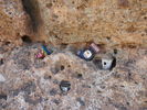photo thumbnail #12