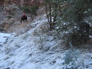 photo thumbnail #1