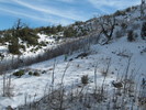 photo thumbnail #13