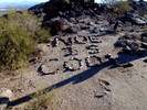 photo thumbnail #4