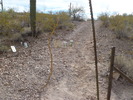 photo thumbnail #2