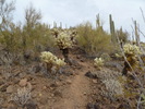 photo thumbnail #3