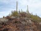 photo thumbnail #6