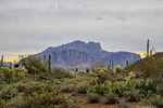 photo thumbnail #7