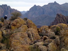 photo thumbnail #14