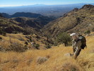 photo thumbnail #2